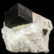 Two Natural Pyrite Cubes In Matrix - Navajun, Spain #51236-1